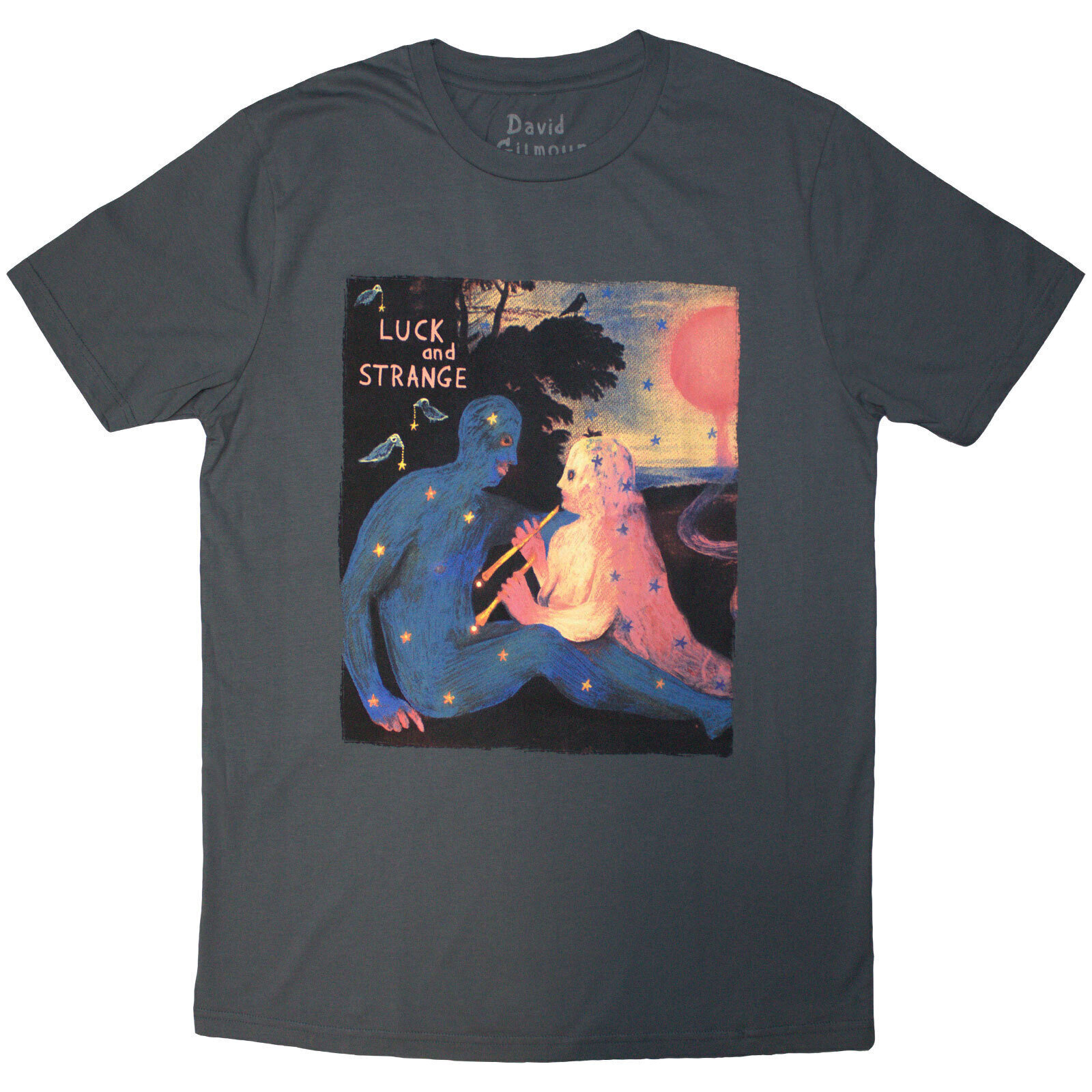 T-särk David Gilmour Luck & Strange London 2 (Back Print & Ex-Tour) Grey XL T-särk
