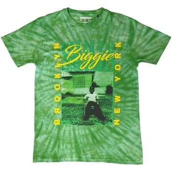 Риза Notorious B.I.G. 90's New York City (Wash Collection) Green S Риза - 1