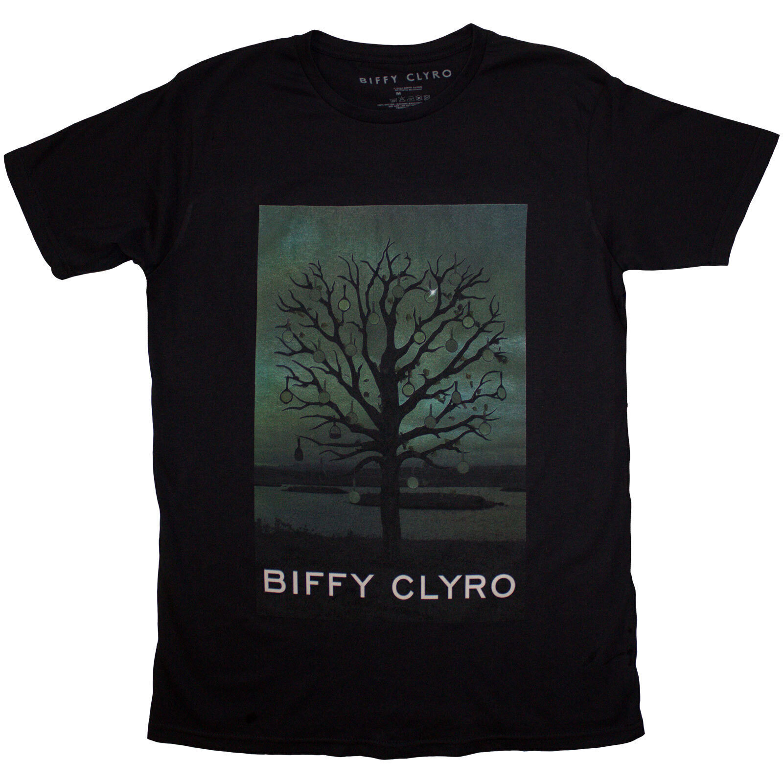 Marškinėliai Biffy Clyro Black Chandelier Black M Marškinėliai