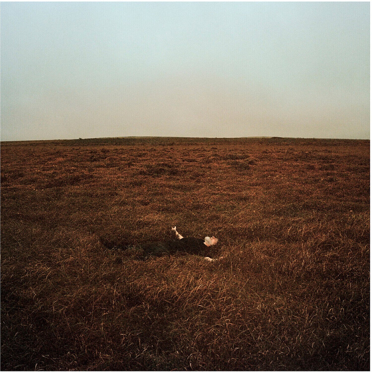 LP ploča Fink - The City Is Coming To Erase It All (Gatefold) (LP)