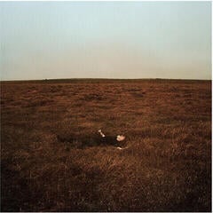 LP ploča Fink - The City Is Coming To Erase It All (Gatefold) (LP)