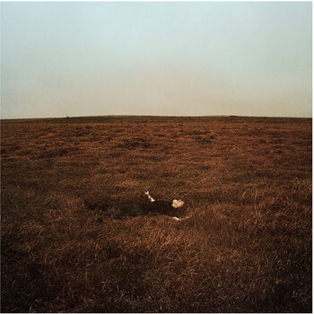 LP ploča Fink - The City Is Coming To Erase It All (Winter Gorse Coloured) (LP) - 1