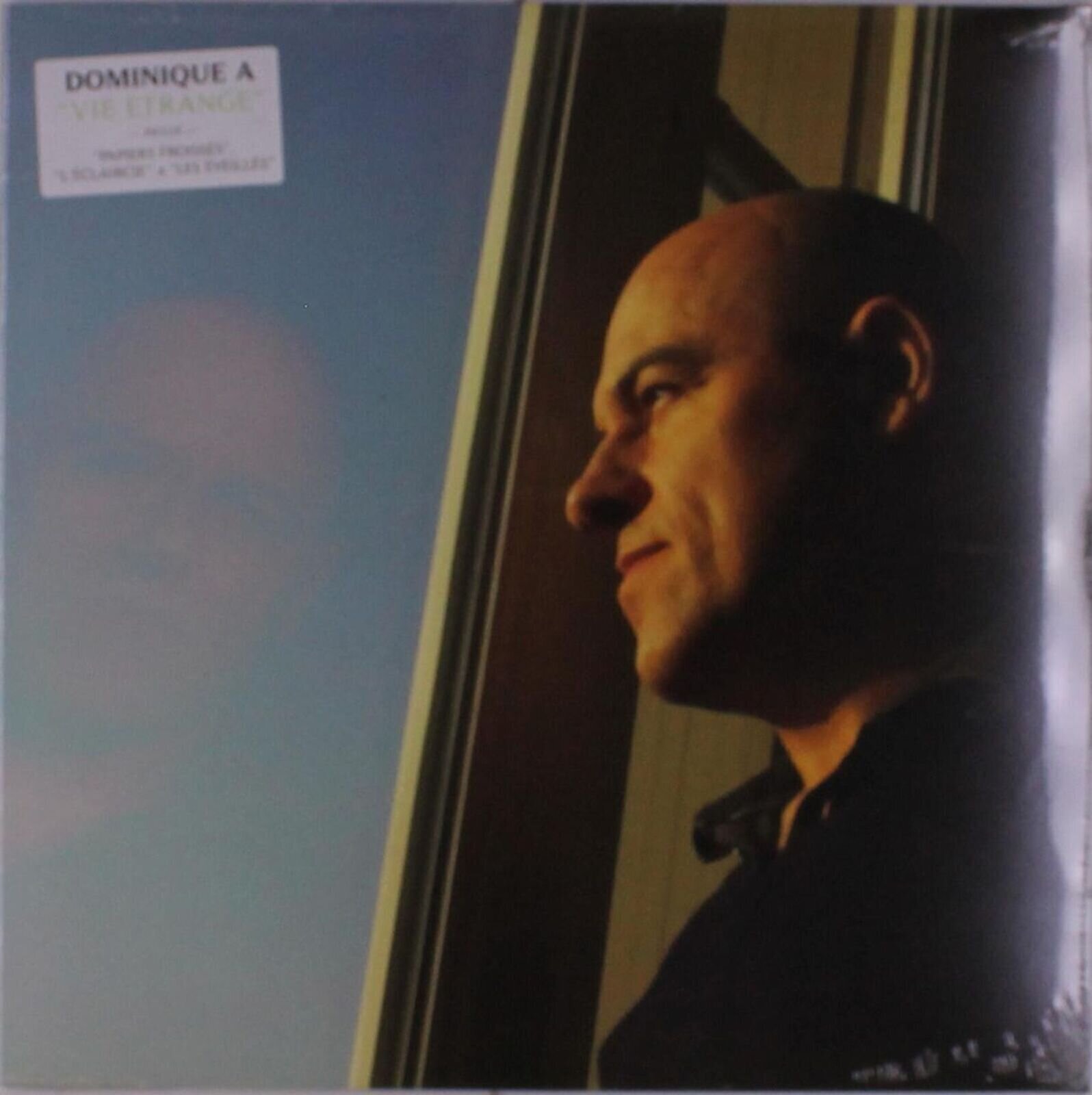 LP plošča Dominique A. - Vie Étrange (LP)