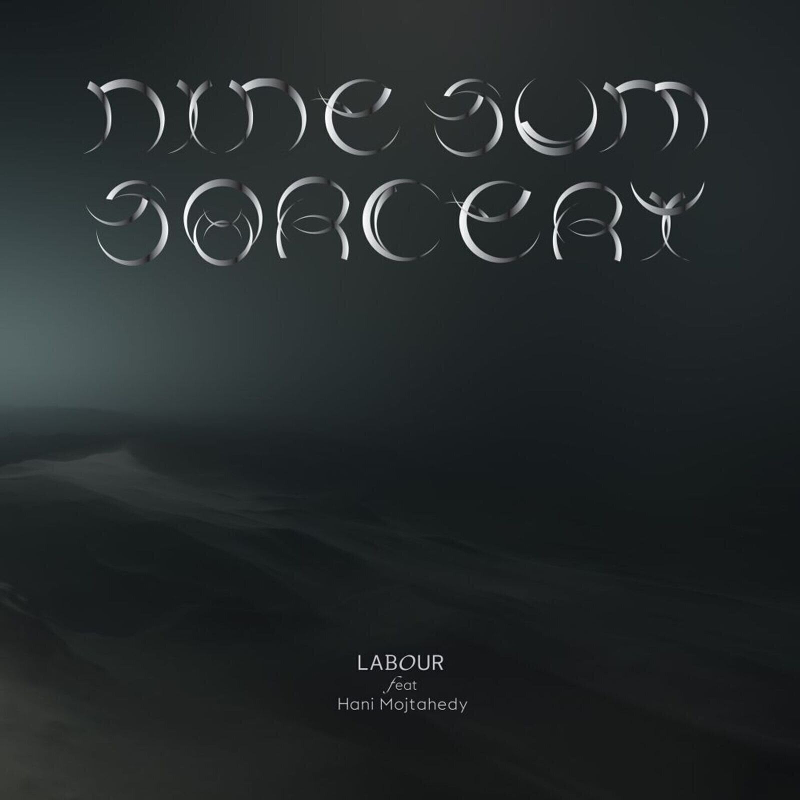 Vinyl Record Labour & Hani Mojtahedy - Nine-sum Sorcery (LP)