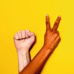 Vinyl Record Oy - World Wide We (LP)