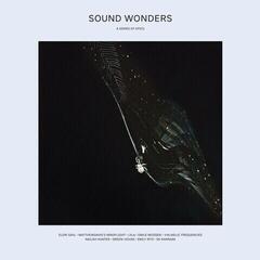 Vinyl Record Various Artists - Sound Wonders: A Series of Epics (Limited Edition) (LP)