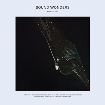 LP plošča Various Artists - Sound Wonders: A Series of Epics (Limited Edition) (LP) - 1