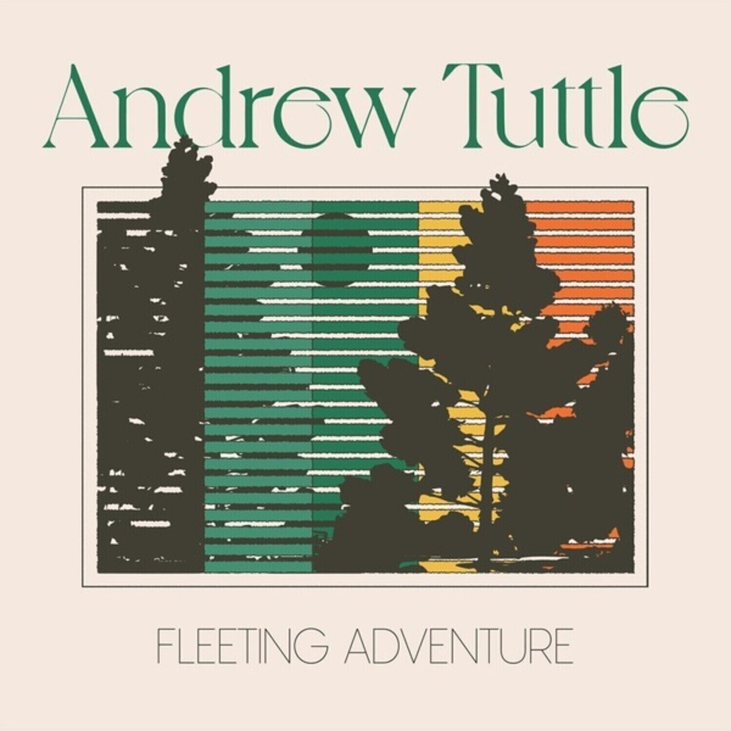 Δίσκος LP Andrew Tuttle - Fleeting Adventure (LP)