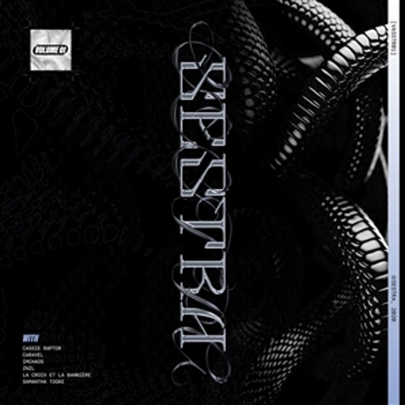 Vinyl Record Various Artists - VASSTR01 - Volume 1 (LP)