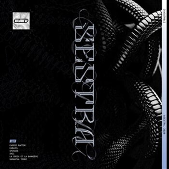 Vinyl Record Various Artists - VASSTR01 - Volume 1 (LP) - 1