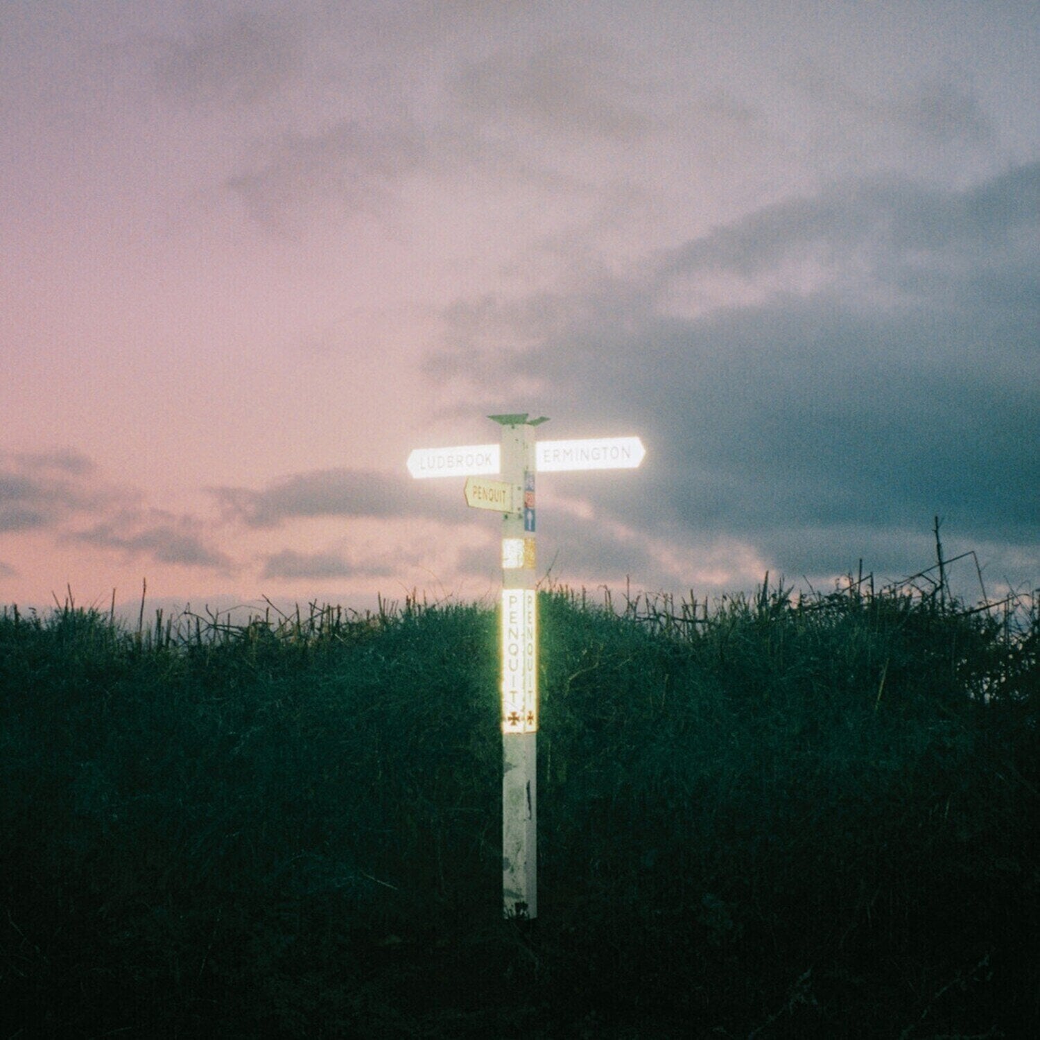 Disco de vinil Pale Blue Eyes - Souvenirs (Limited Edition) (Eco Mix Forest Green Marble Coloured) (LP)