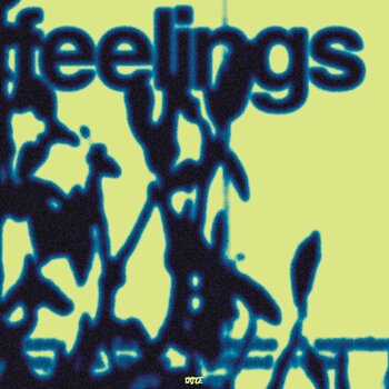 Vinyl Record Dote - Feelings (LP) - 1
