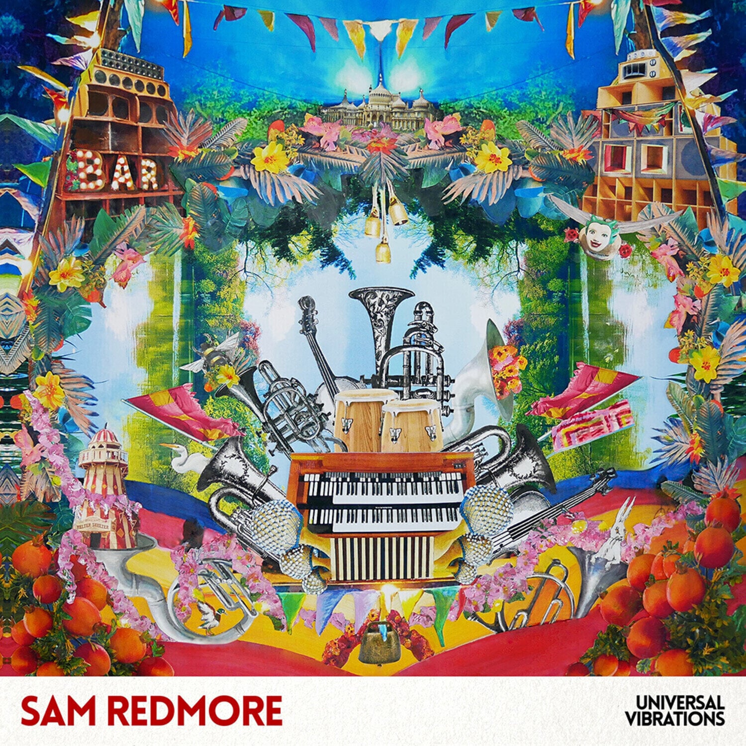 Disco de vinil Sam Redmore - Universal Vibrations (LP)