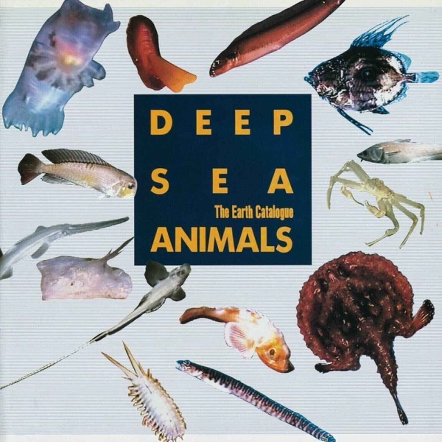 Disco de vinil The Earth Catalogue - Deep Sea Animals (LP)
