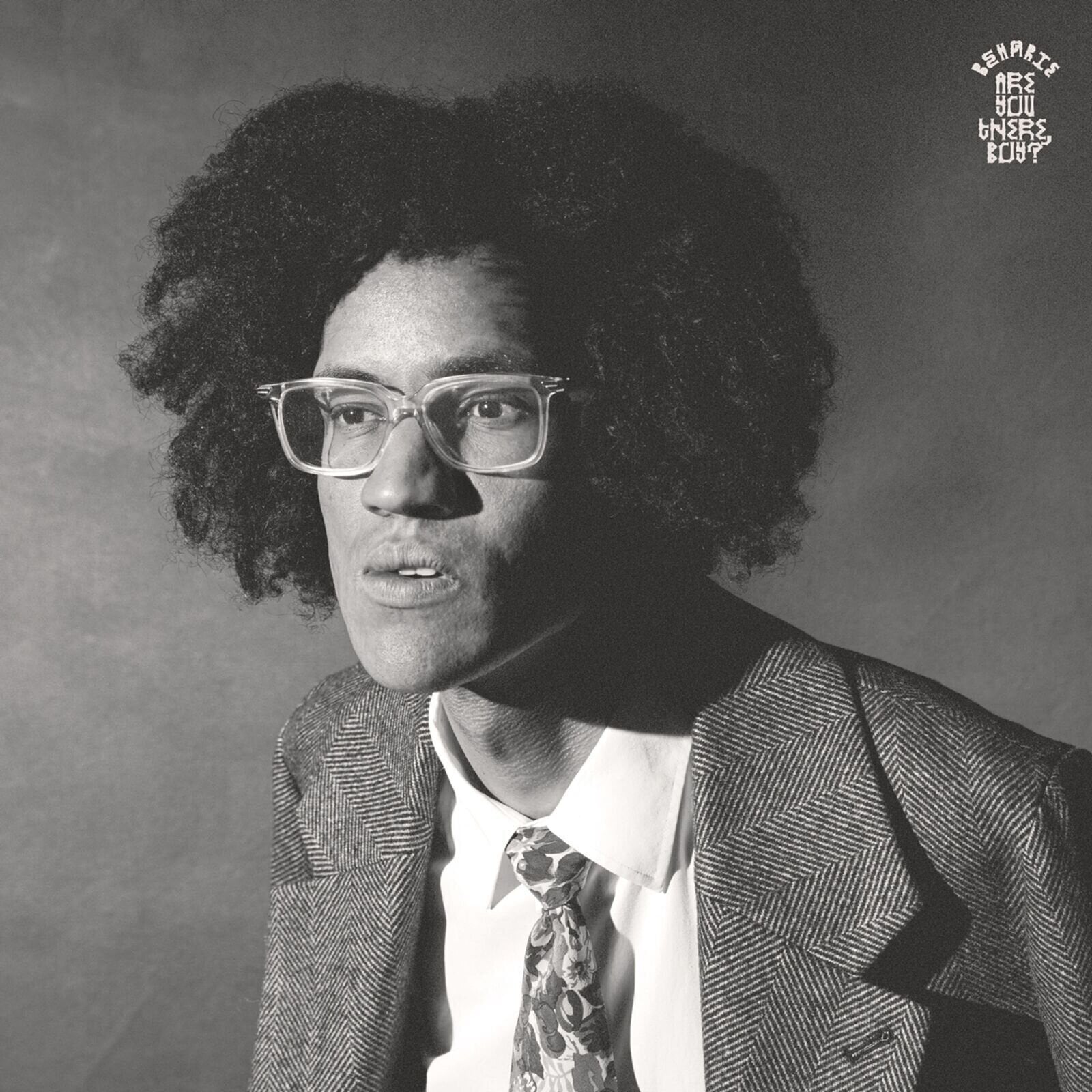 LP deska Beharie - Are You There, Boy? (LP)