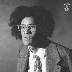 LP deska Beharie - Are You There, Boy? (LP)