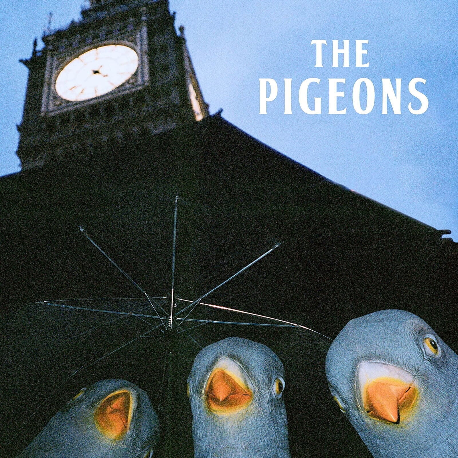 Vinyl Record The Pigeons - Bird Brain Gang (LP)
