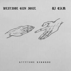 LP deska DJ Cam - Westside Gun Soul (Pink Coloured) (LP)