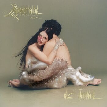 LP ploča 12 Ensemble - Metamorphosis (2 LP) - 1