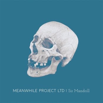LP plošča Meanwhile Project Ltd - Sir Mandrill (LP) - 1
