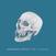 Vinylskiva Meanwhile Project Ltd - Sir Mandrill (LP)