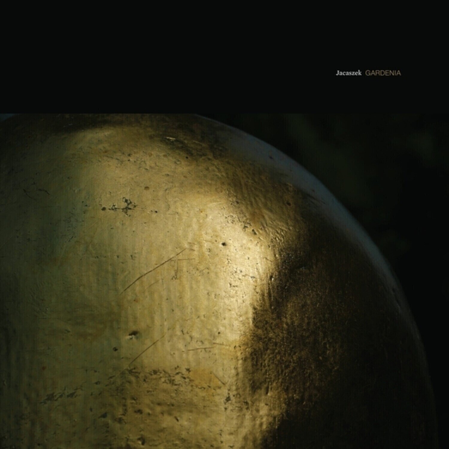 Vinyl Record Jacaszek - Gardenia (LP)