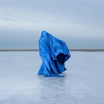 Vinyl Record Fuis - Here's To Asking For Help (LP) - 1