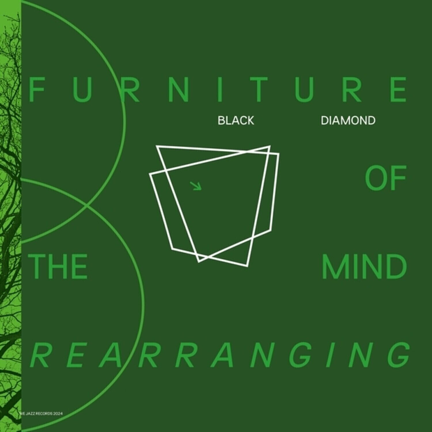 LP plošča Black Diamond - Furniture Of the Mind Rearranging (2 LP)