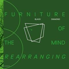 Vinyl Record Black Diamond - Furniture Of the Mind Rearranging (2 LP)