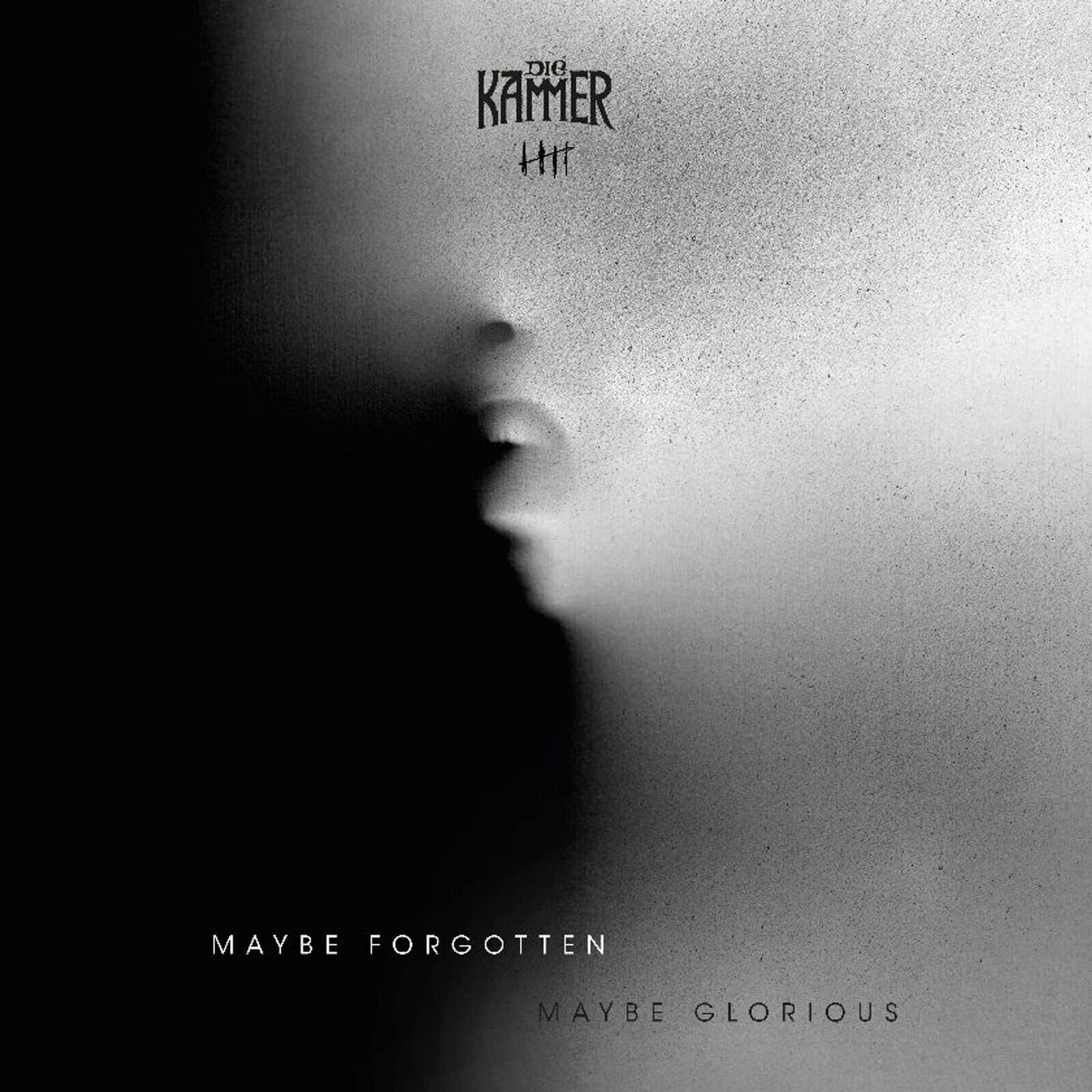LP ploča Die Kammer - Maybe Forgotten Maybe Glorious (Limited Edition) (LP)