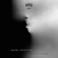 LP ploča Die Kammer - Maybe Forgotten Maybe Glorious (Limited Edition) (LP)