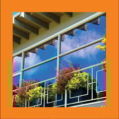 LP plošča The Reds, Pinks And Purples - Still Clouds At Noon (Limited Edition) (White Coloured) (LP)