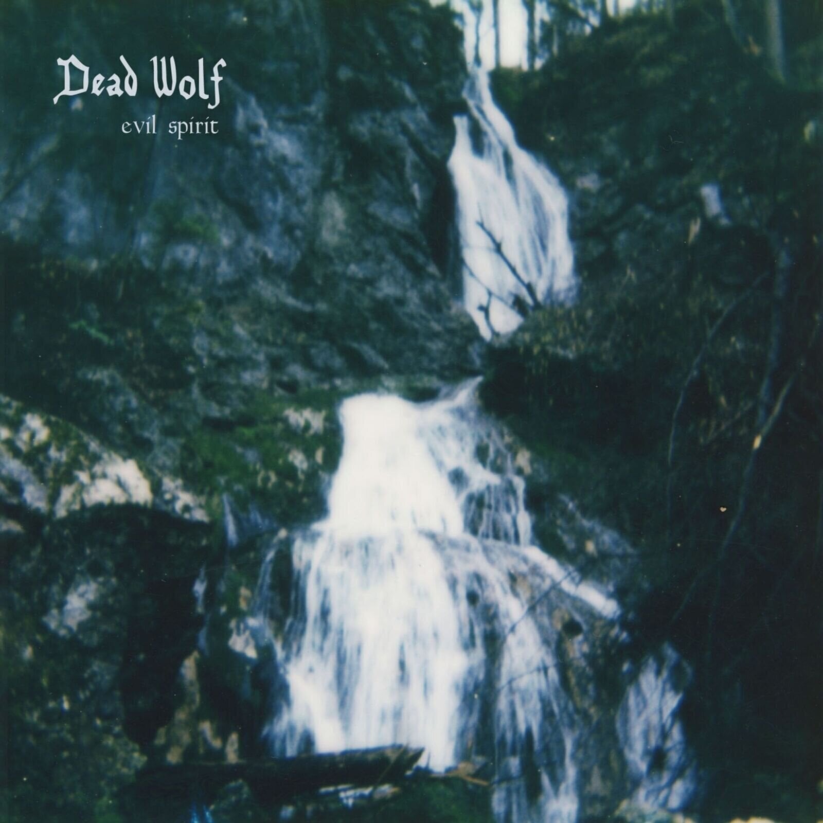 Vinyl Record Dead Wolf - Evil Spirit (LP)