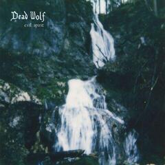 Vinyl Record Dead Wolf - Evil Spirit (LP)