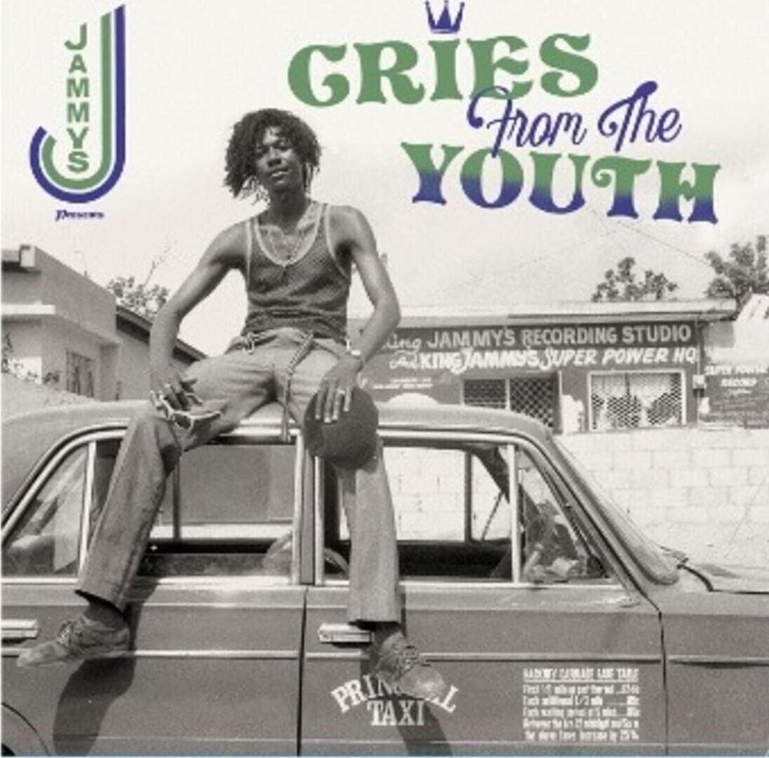 Vinylskiva Various Artists - Cries From The Youth (LP)