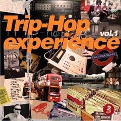 Vinyl Record Various Artists - Trip-Hop Experience Vol.1 (2 LP)