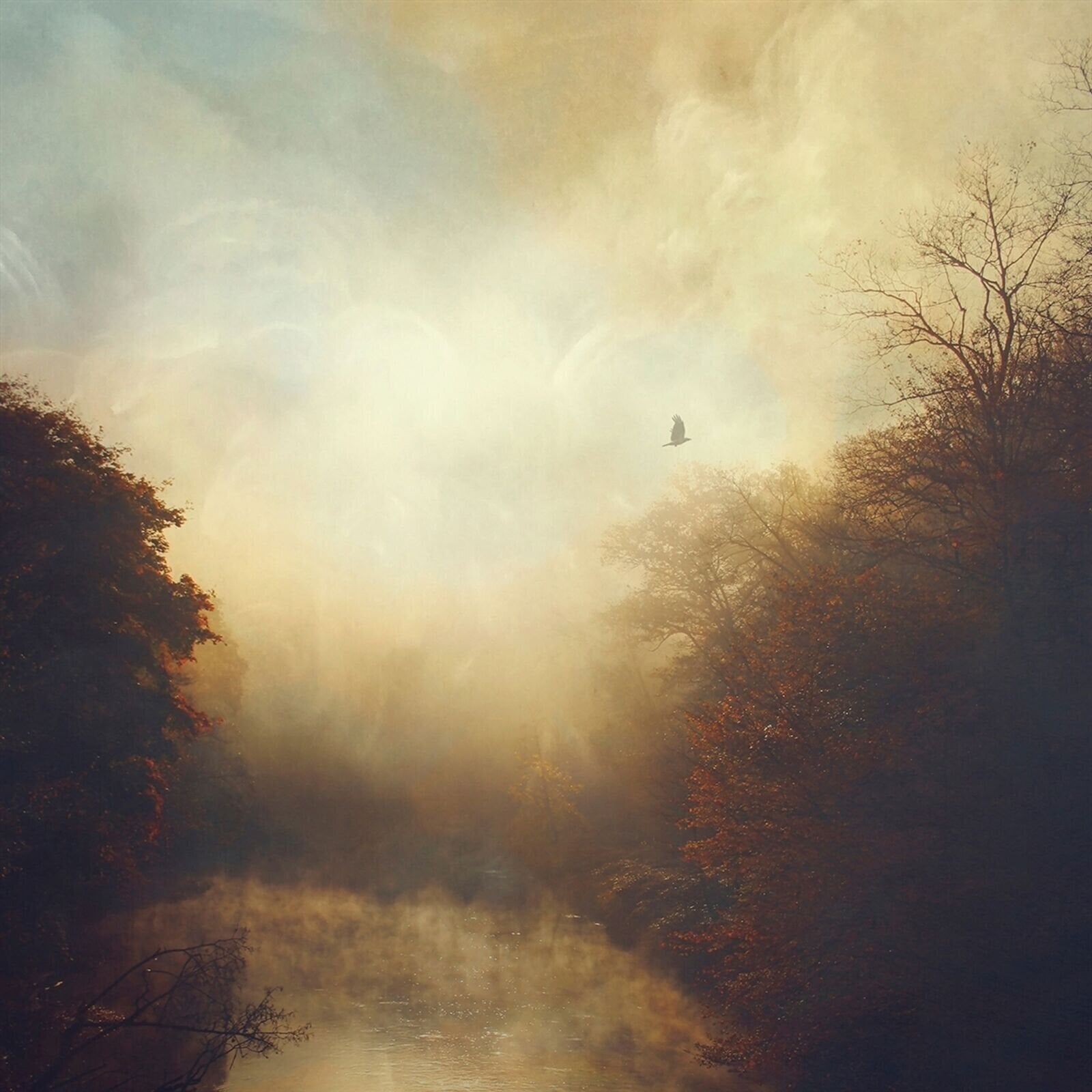 Disco de vinil Stray Theories - This Light (Limited Edition) (Coloured) (LP)