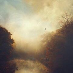 Disco de vinil Stray Theories - This Light (Limited Edition) (Coloured) (LP)