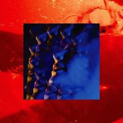 LP deska Little Hag - Leash (LP)