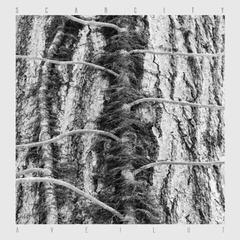 Vinyl Record Scarcity - Aveilut (Limited Edition) (LP)