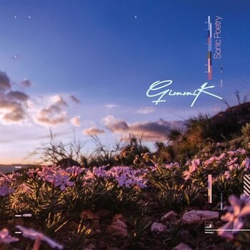 Vinyl Record Gimmik - Sonic Poetry (Limited Edition) (2 LP) - 1