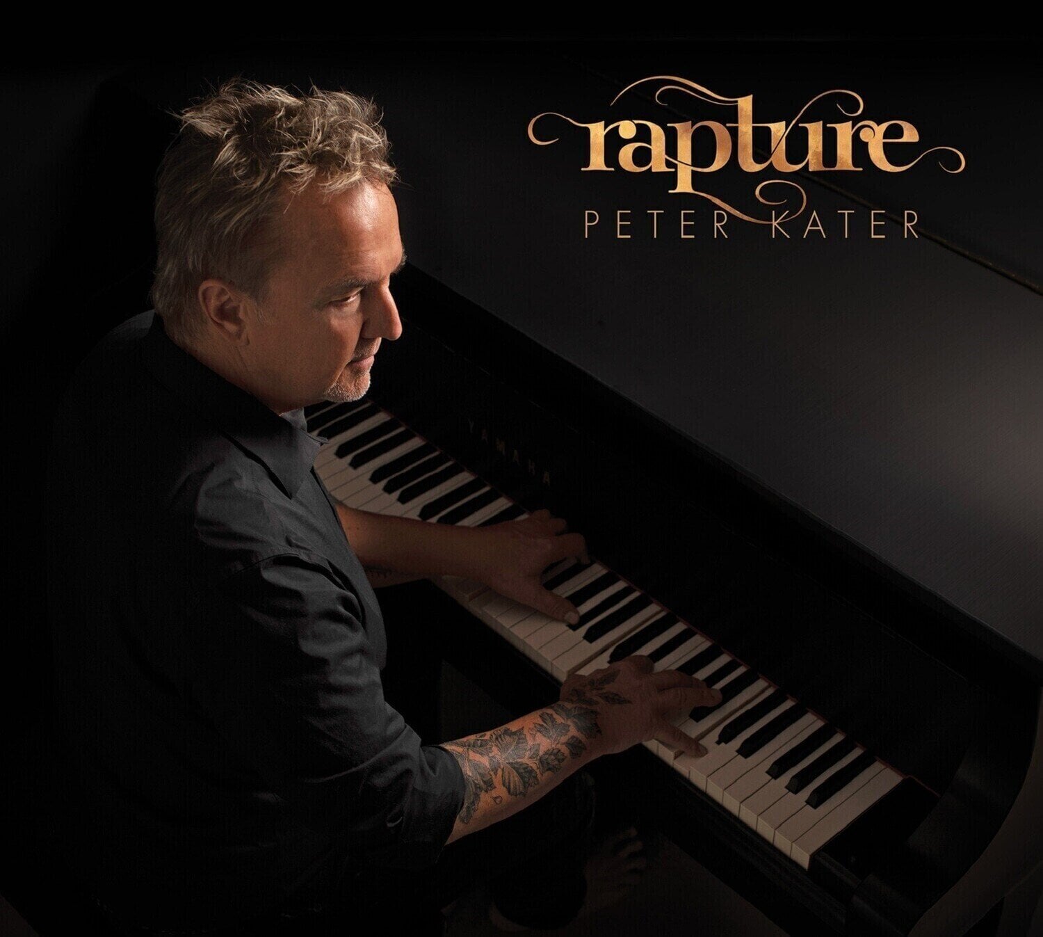 Vinyl Record Peter Kater - Rapture (LP)