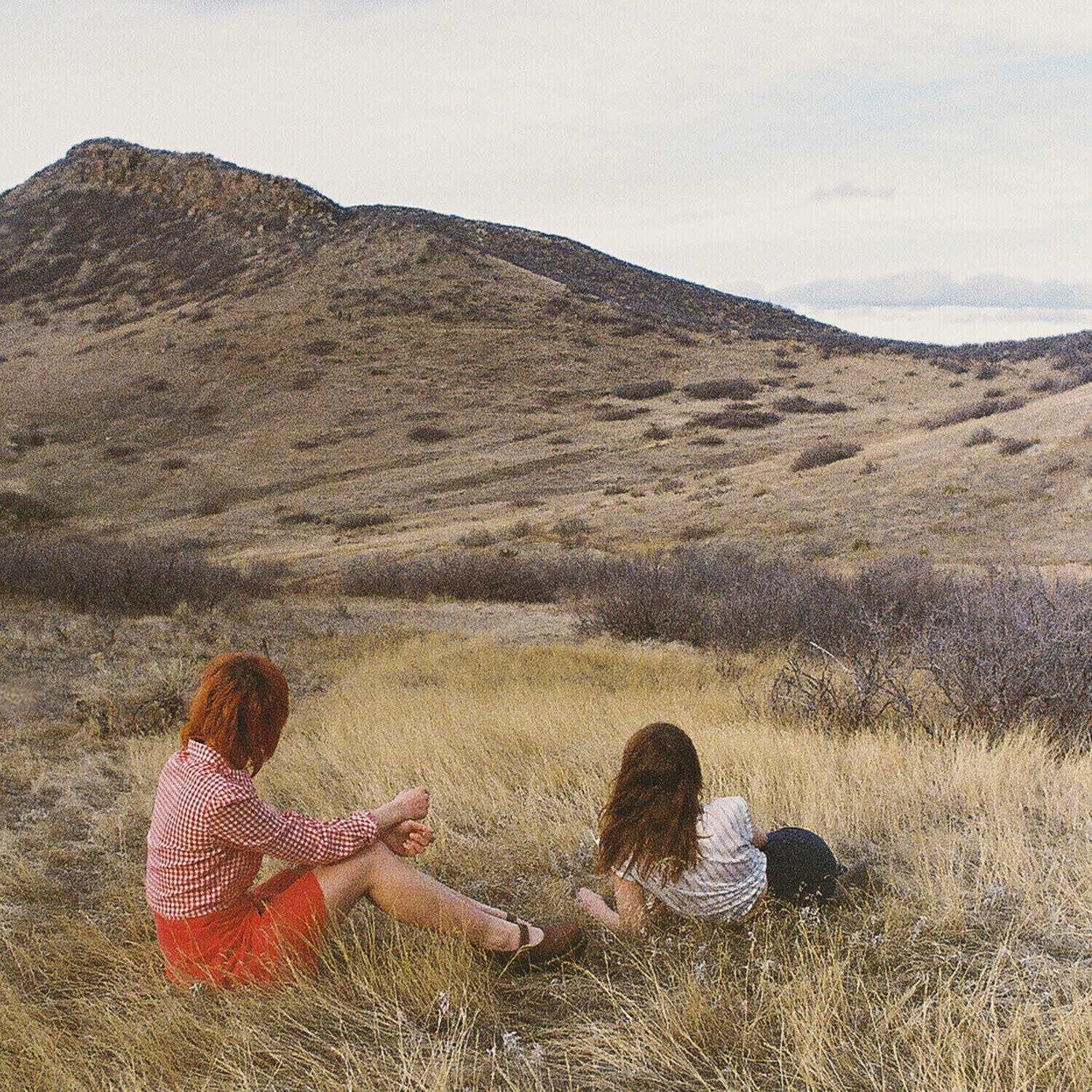 Vinyl Record Companion - Second Day Of Spring (Limited Edition) (Green Coloured) (LP)