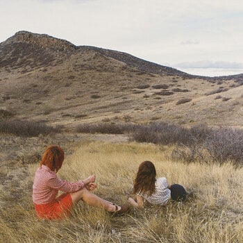 Vinyl Record Companion - Second Day Of Spring (Limited Edition) (Green Coloured) (LP) - 1