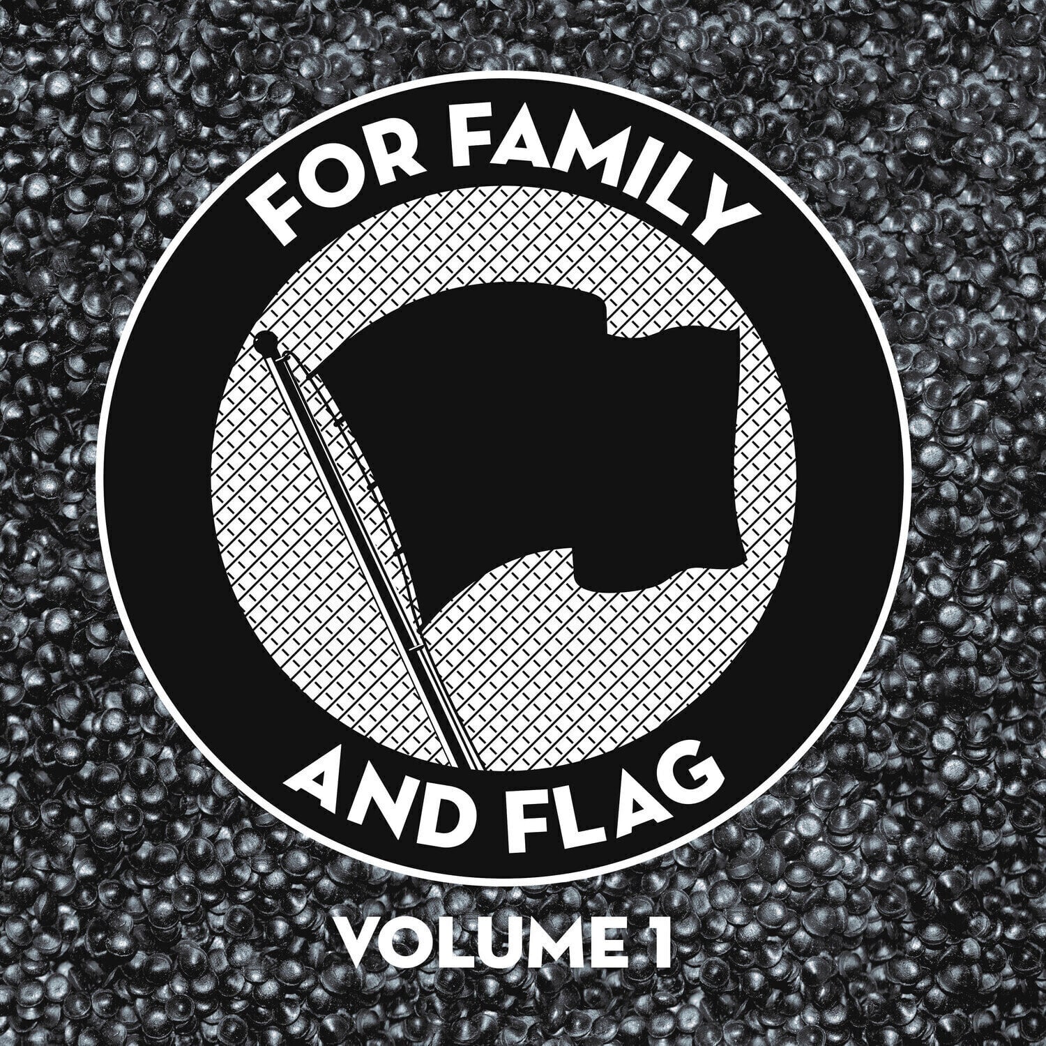 Vinyl Record Various Artists - For Family And Flag Volume 1 (LP)