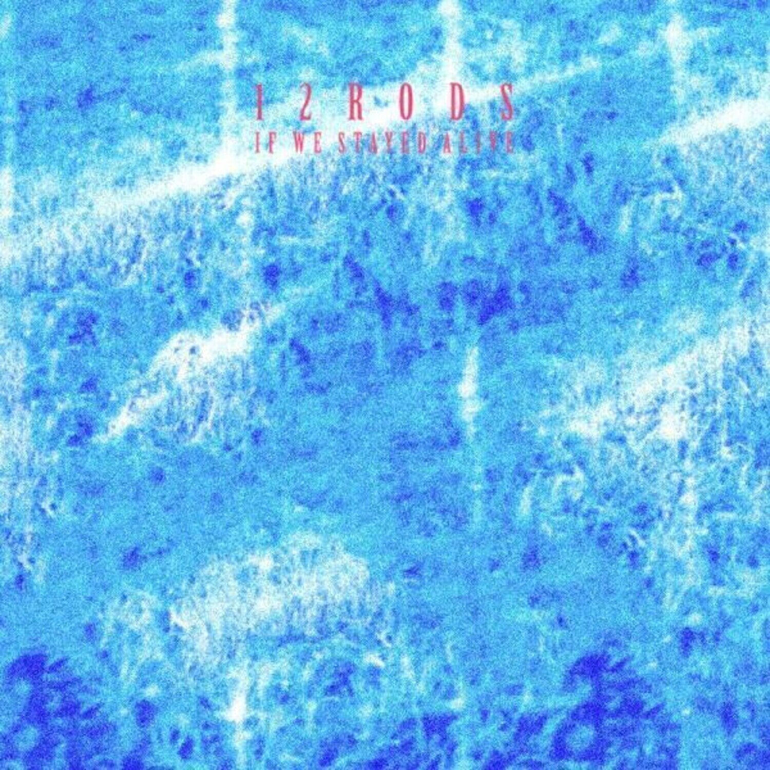 Vinyl Record 12 Rods - If We Stayed Alive (LP)