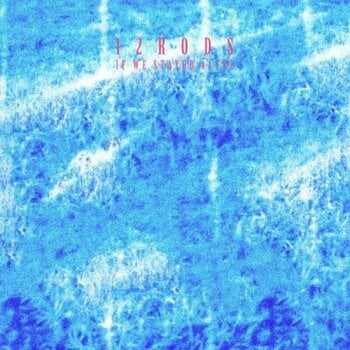 Vinyl Record 12 Rods - If We Stayed Alive (LP) - 1