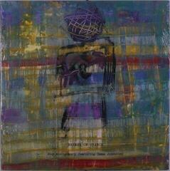 Disco de vinil Roy Montgomery & Emma Johnston - Rhymes Of Chance (LP)