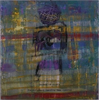 Disco de vinil Roy Montgomery & Emma Johnston - Rhymes Of Chance (LP) - 1