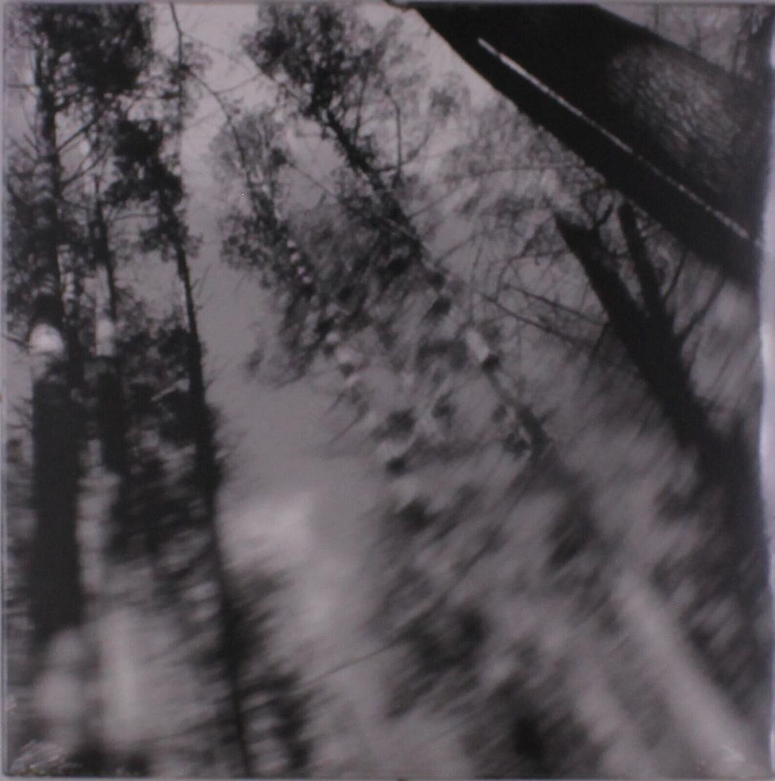 Vinyl Record Loess - Totems (Limited Edition) (LP)